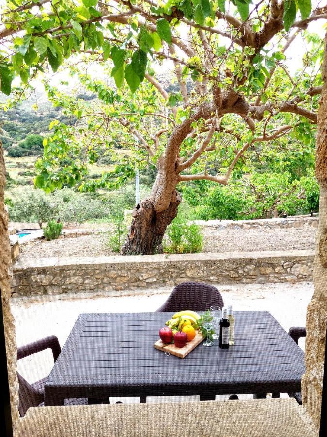 Petrakis Cretan Homes Kíssamos Buitenkant foto