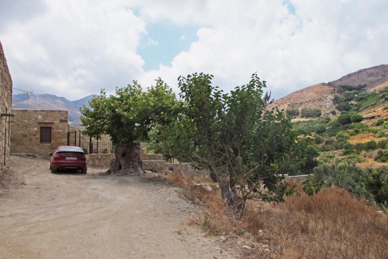 Petrakis Cretan Homes Kíssamos Buitenkant foto