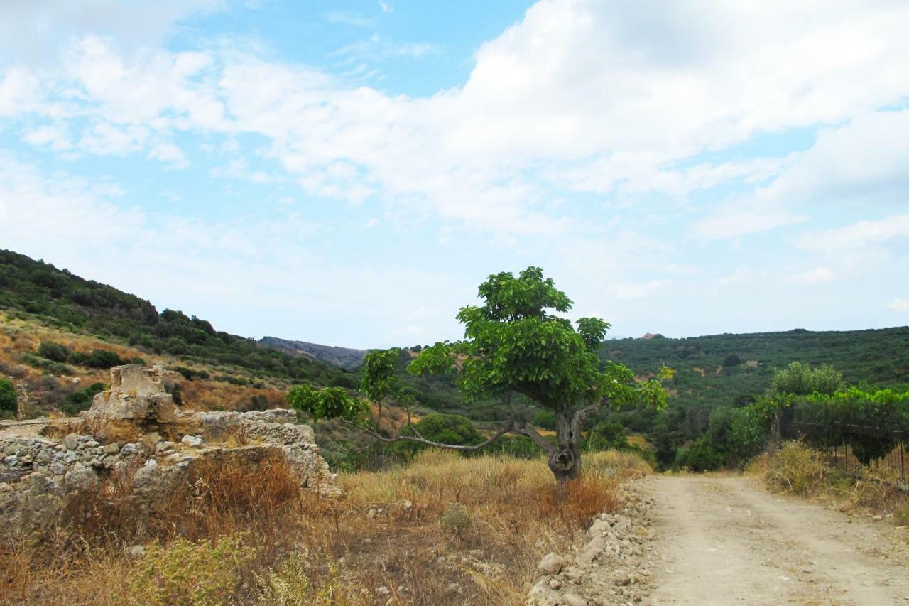 Petrakis Cretan Homes Kíssamos Buitenkant foto