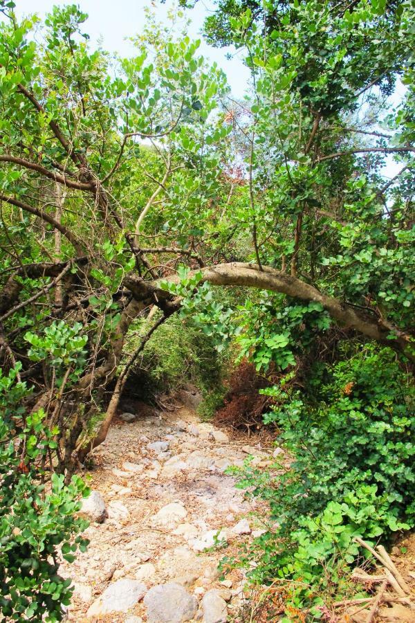 Petrakis Cretan Homes Kíssamos Buitenkant foto