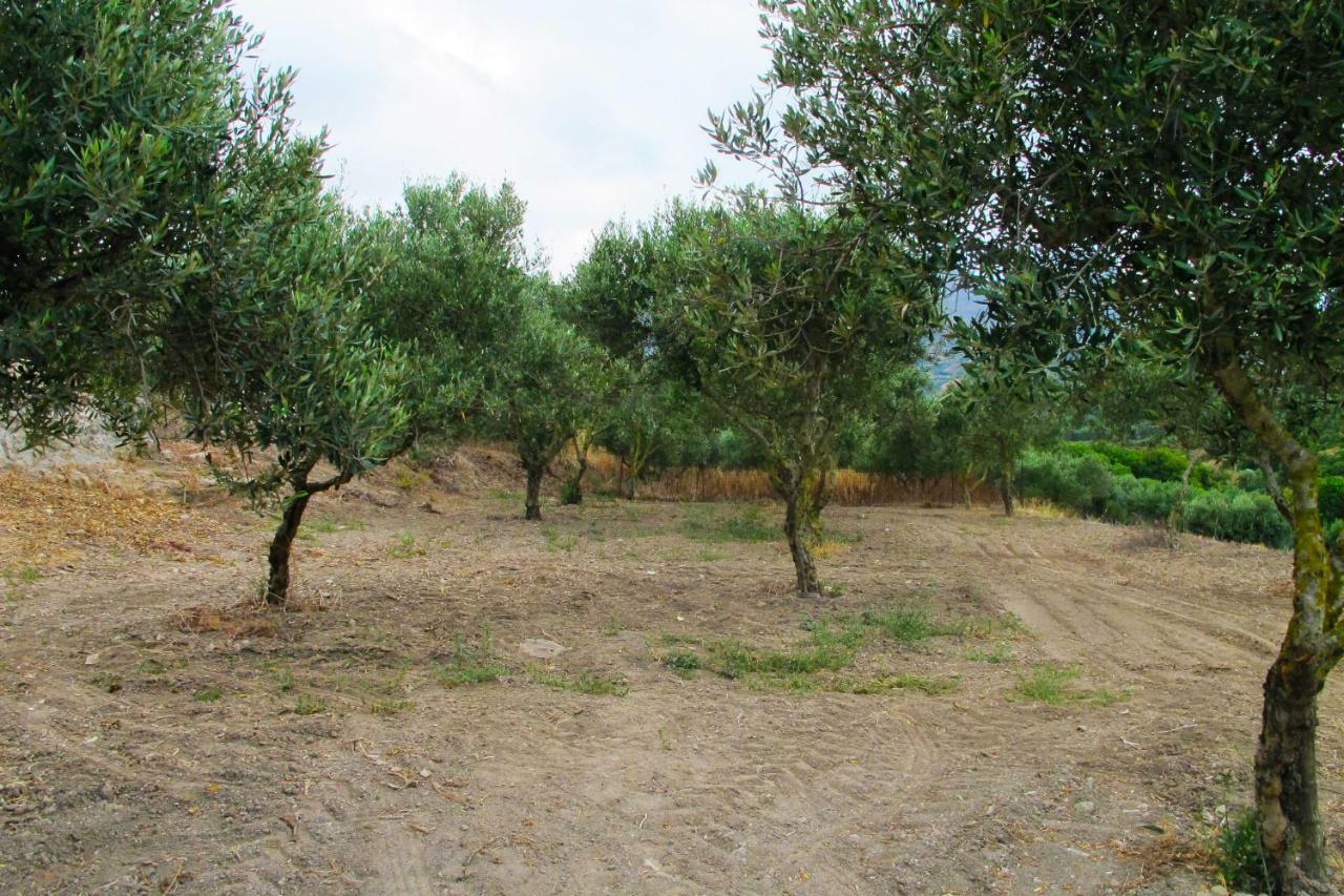 Petrakis Cretan Homes Kíssamos Buitenkant foto