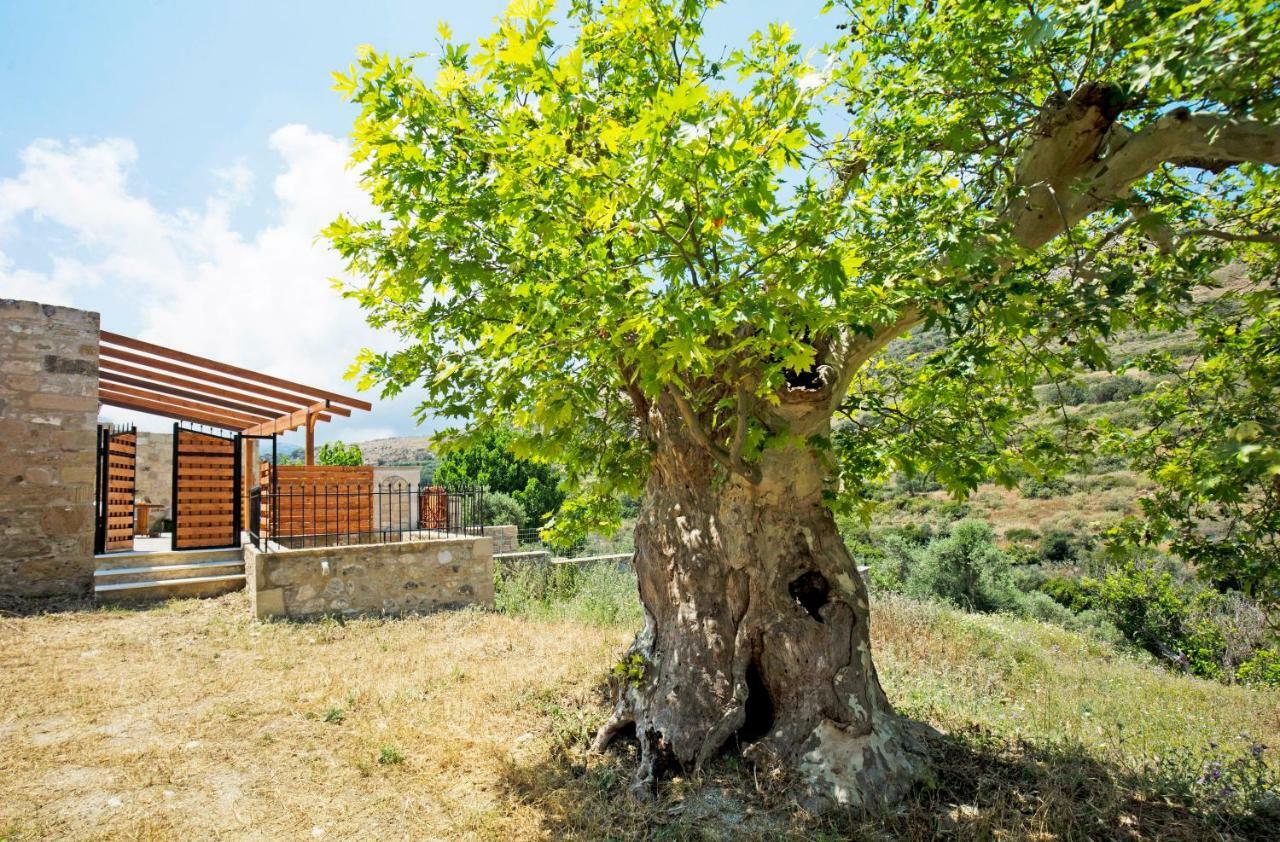 Petrakis Cretan Homes Kíssamos Buitenkant foto